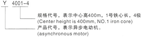 西安泰富西玛Y系列(H355-1000)高压YE2-90S-6三相异步电机型号说明